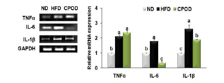 Effect of dietary camphor supplementation on expression of genes involved ininflammation in liver of mice fed a HFD.