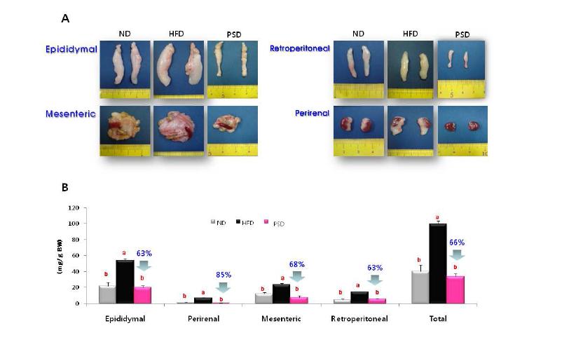 Image of visceral adipose tissue and weights of mice fed experimental diets.