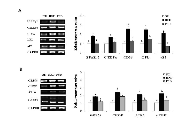 Effect of dietary piperine supplementation on expression of genes involved inadipogenesis in?the liver ?of mice fed a HFD.