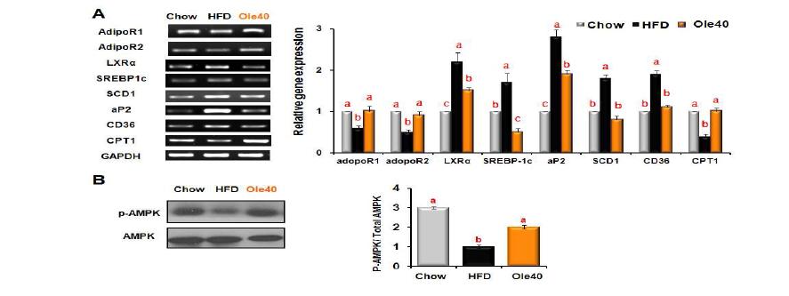 Effects of oleuropein on the expression of molecules that regulate lipidmetabolism in the liver tissues of mice fed HFD.