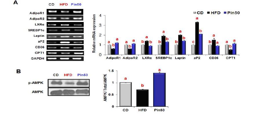 Effects of piperine on the expression of molecules that regulate lipidmetabolism in the liver tissues of mice fed HFD.