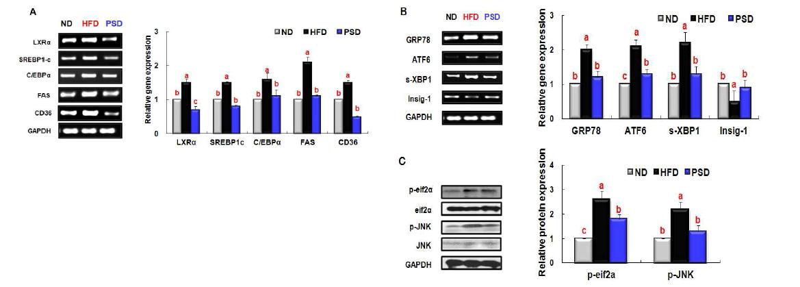 Effects of piperine on the expression of molecules that regulate lipogenesisand ER stress in the liver tissues of mice fed a HFD.