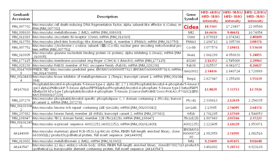 cDNA microarray를 분석으로 선택한 유전자