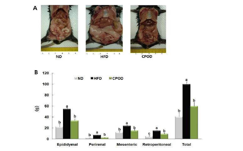Anatomical image and visceral adipose tissue weights of mice fed experimentaldiets.