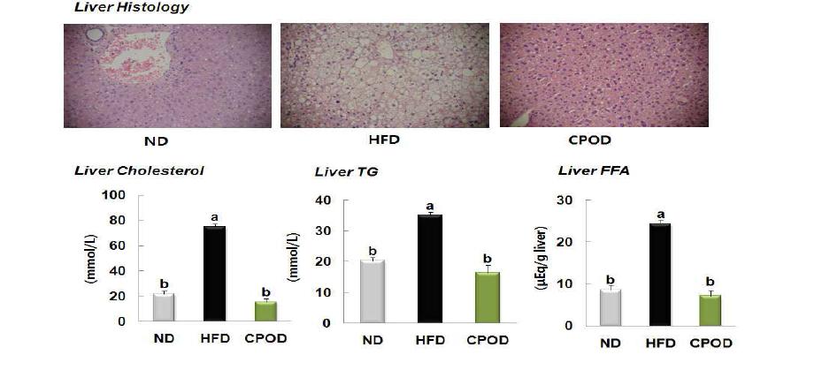 Histological profiles and hepatic lipid concentrations of mice fedexperimental diets.