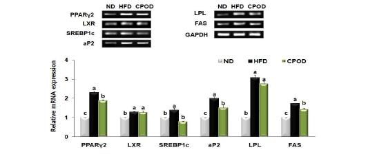 Effect of dietary camphor supplementation on expression of genes involved inadipogenesis in the liver of mice fed a HFD.