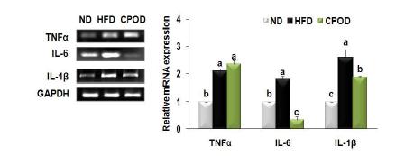 Effect of dietary camphor supplementation on expression of genes involved ininflammation in liver of mice fed a HFD.