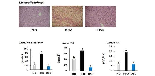 Histological profiles and hepatic lipid concentrations of mice fedexperimental diets.