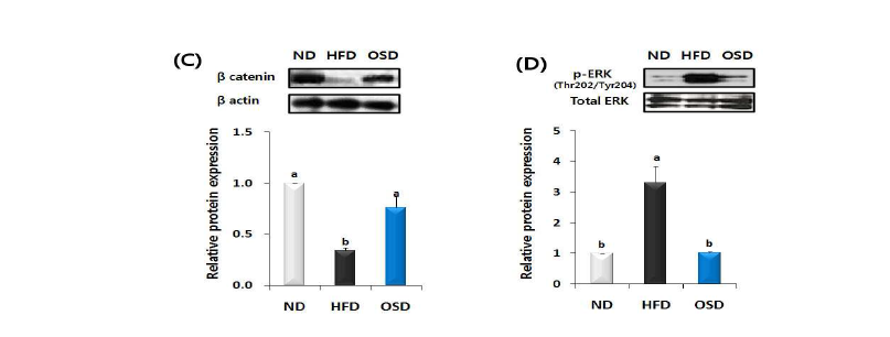 Effect of dietary oleuropein supplementation on expression of genes involved in adipogenesis in the liver of mice fed a HFD.