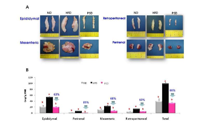 Image of visceral adipose tissue and weights of mice fed experimental diets.