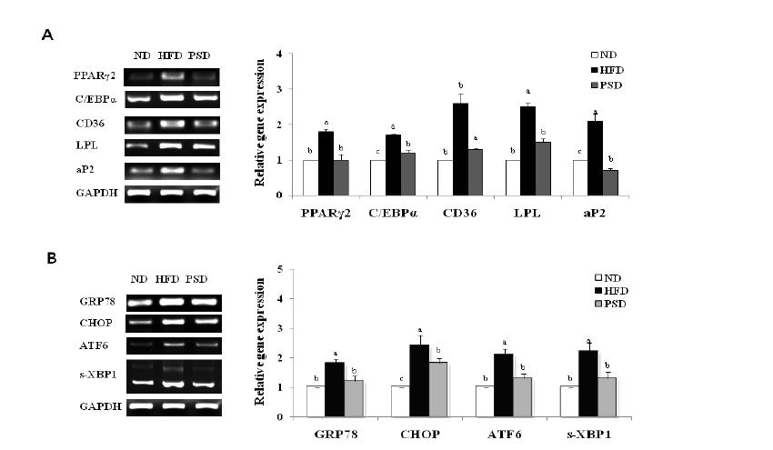 Effect of dietary piperine supplementation on expression of genes involved in adipogenesis in the liver of mice fed a HFD.
