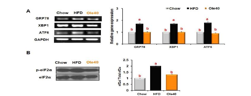 Effects of oleuropein on the expression of molecules that regulate ER stressin the liver tissues of mice fed a HFD.