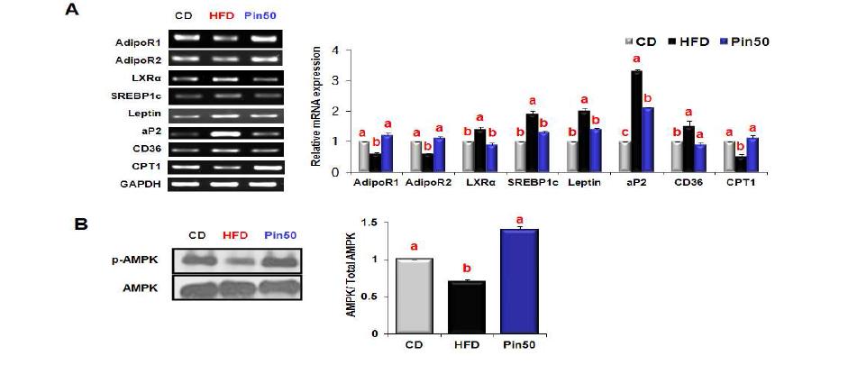 Effects of piperine on the expression of molecules that regulate lipidmetabolism in the liver tissues of mice fed HFD.