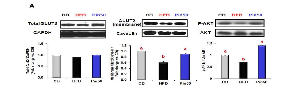Effects of piperine on the expression of molecules that regulate insulinsignaling in the liver tissues of mice fed HFD.