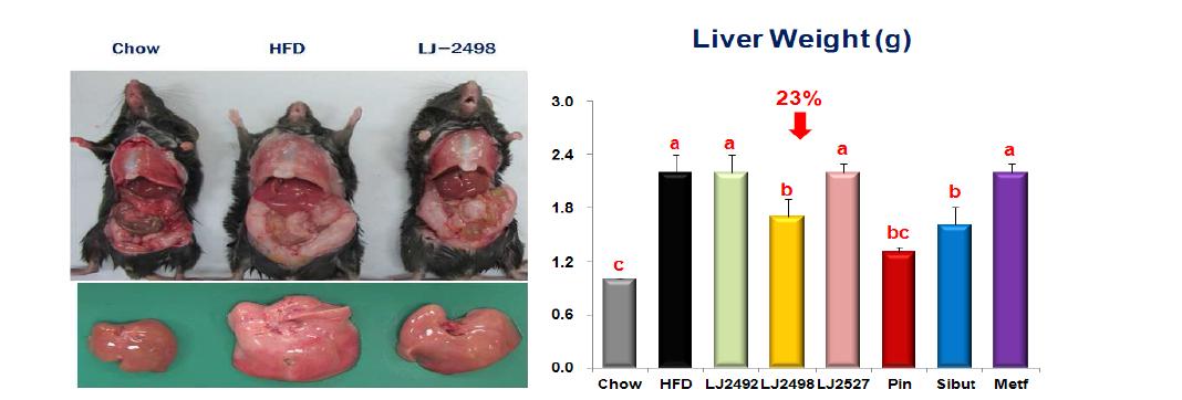 Anatomical image and liver weights of mice fed experimental diets.