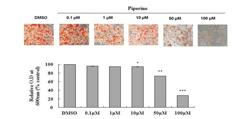Piperine decreases fat accumulation in differentiated adipocytes.