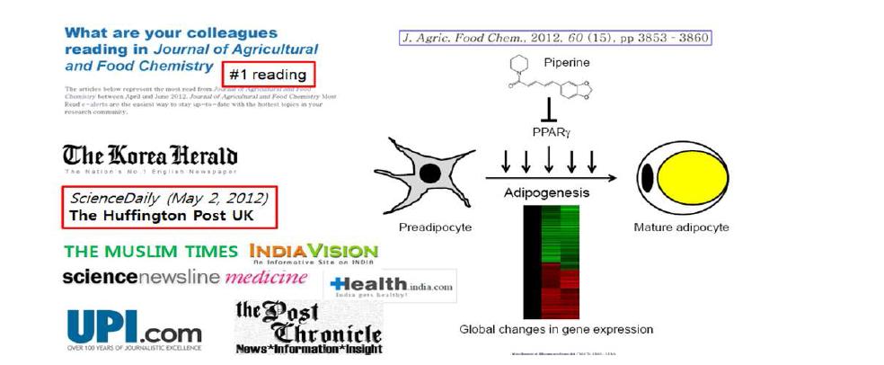 Piperine에 의한 PPARγ 활성억제