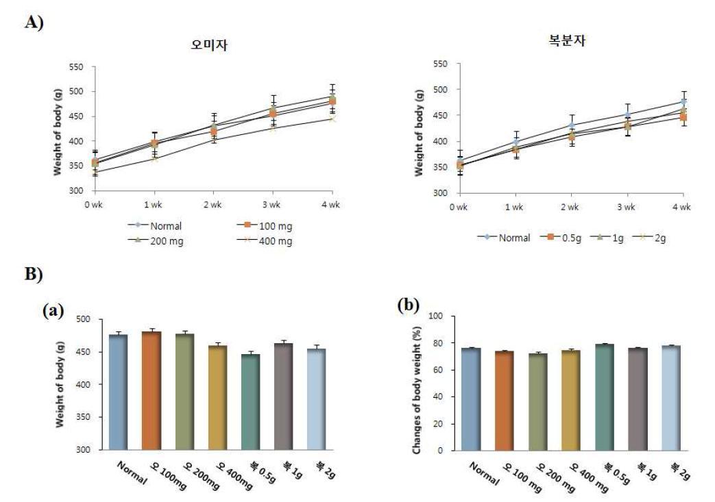 오미자, 복분자 투여 후 백서의 체중변화 측정