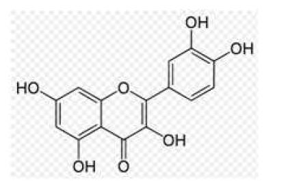 미숙과 복분자의 quercetin의 구조