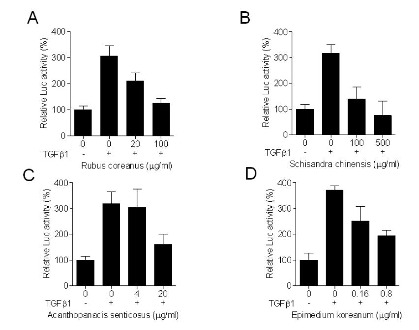천연물 분획의 농도에 따른 TGF-β signaling 활성 억제 효과