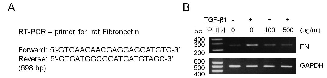 오미자 분획(추출물)의 TGF-β에 의한 Fibronectin 생성 억제