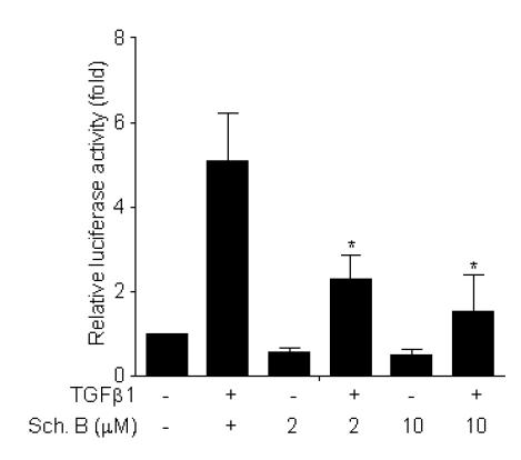 Schisandrin B (Sch B) 의 TGF-β1 signaling 억제 효과