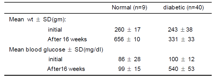 Streptozotocin 유도성 당뇨백서의 체중 및 혈당변화