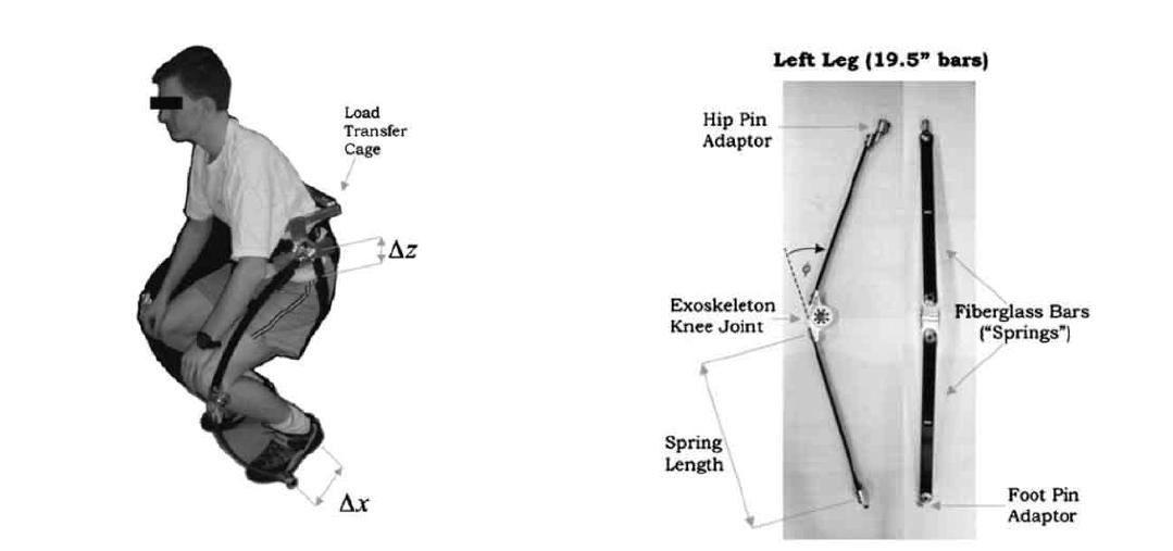 Lower body exoskeleton