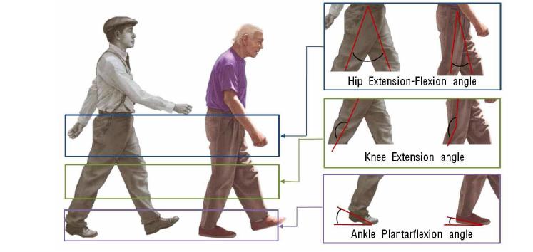 젊은 성인과 노인의 보행 비교 예