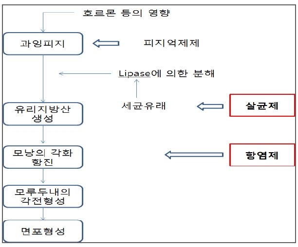 Fig. 1. 여드름의 발생요인과 약제