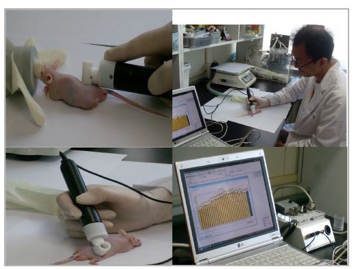 Fig. 1. TEWL was measured using Tewameter TM 210® .