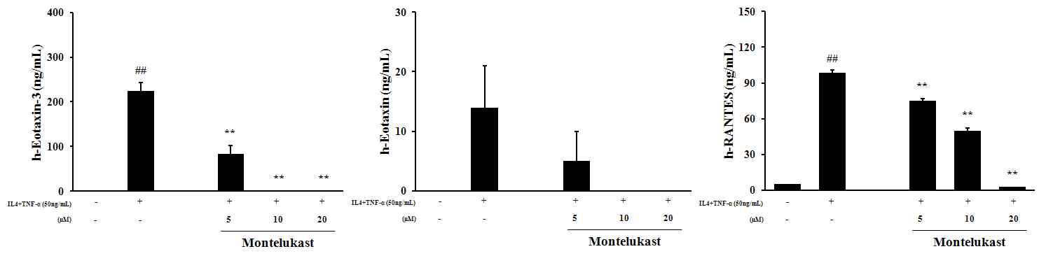 Effect of Montelukast on IL-4+TNF-α-induced chemokines production in BEAS-2B cells.
