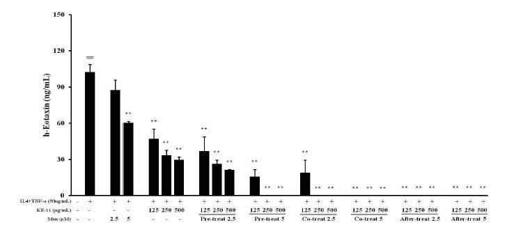 Effect of KE-11/Montelukast on IL-4+TNF-α-induced Eotaxin production in BEAS-2B cells.