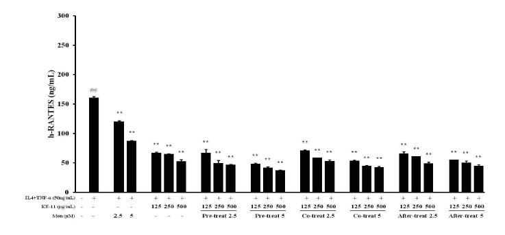 Effect of KE-11/Montelukast on IL-4+TNF-α-induced RANTES production in BEAS-2B cells.