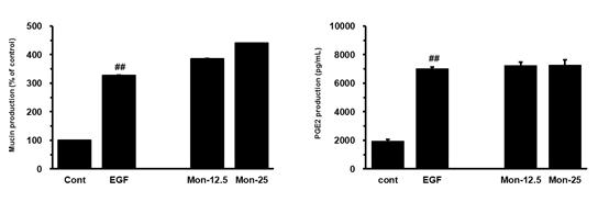 Effect of montelukast and zileuton on EGF-induced MUC5AC production in NCI-H292 cells.