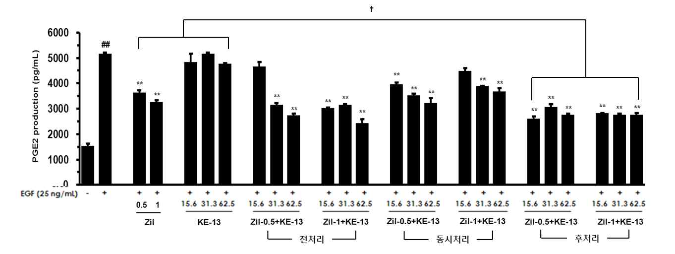 Effect of zileuton and KE-13 extracts on EGF-induced PGE2 production in NCI-H292 cells.