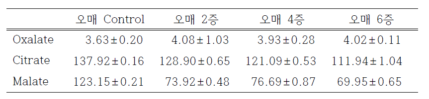 오매의 유기산 함량 비교. ㎎