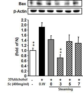 The effects of Bax protein expression in serum on acute alcoholic hepatitis treated with the extracts of Schisandrae Fructus with steaming process