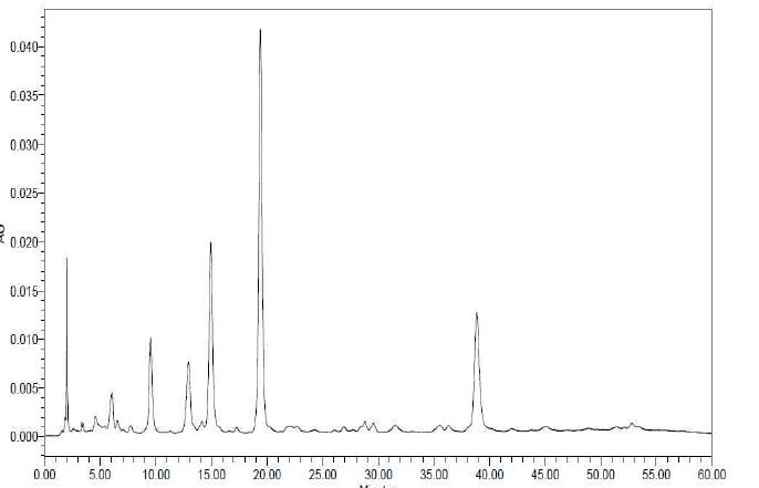 천마 - control의 HPLC chromatogram