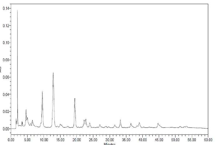 천마 - 술 1증의 HPLC chromatogram