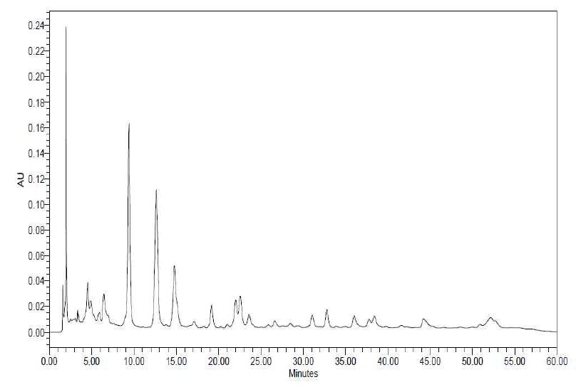 천마 - 술 6증의 HPLC chromatogram