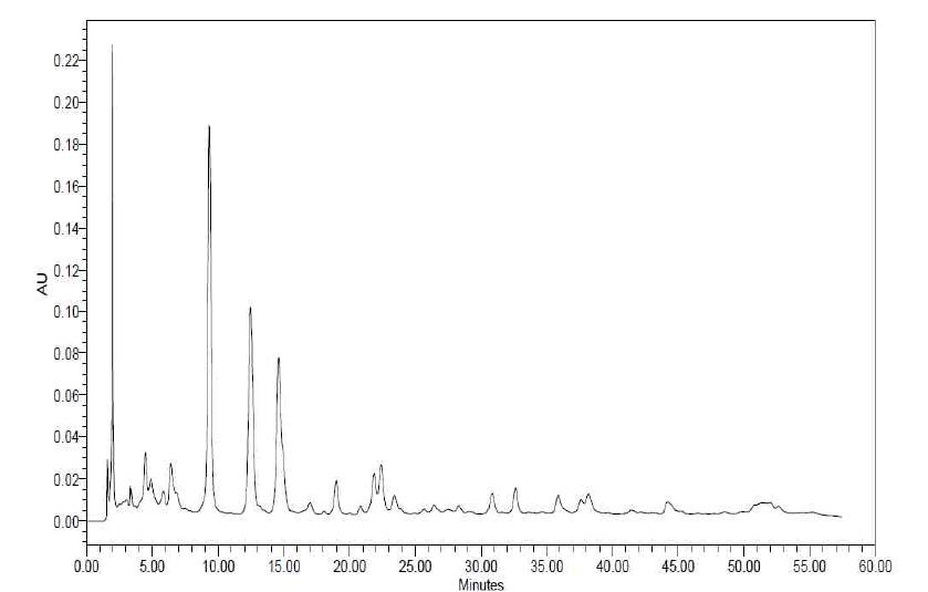 천마 - 술 9증의 HPLC chromatogram