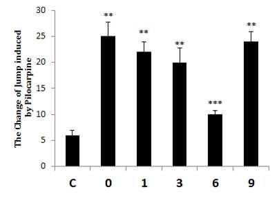 The effects of jump symptom appearance by pilocarpine