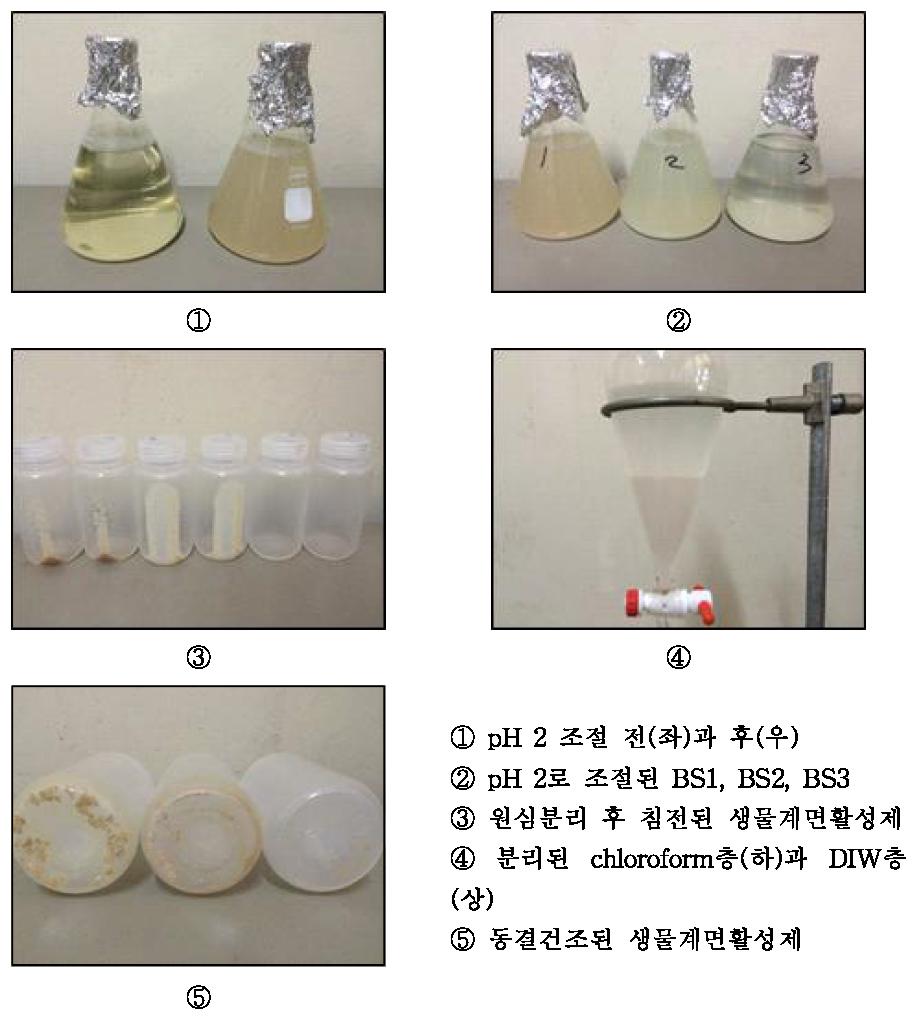 [보고서]BT/NT 융복합 석유가스 증진회수기술 개발
