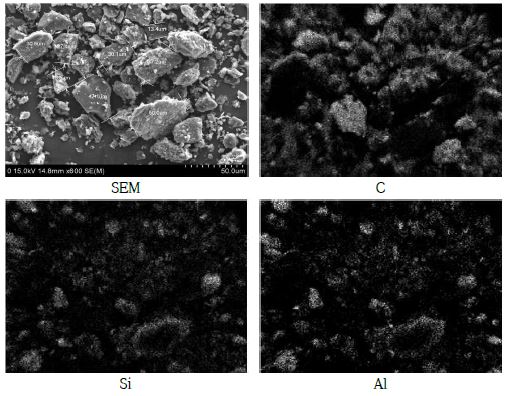 Fig. 3-4-19. 원 시료의 SEM 및 원소별 mapping