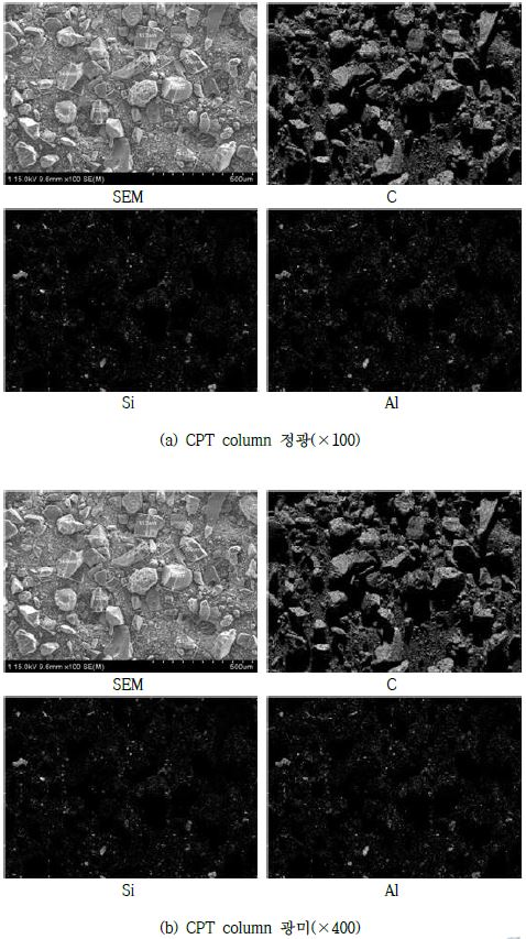 Fig. 3-4-20. SEM 및 원소별 mapping