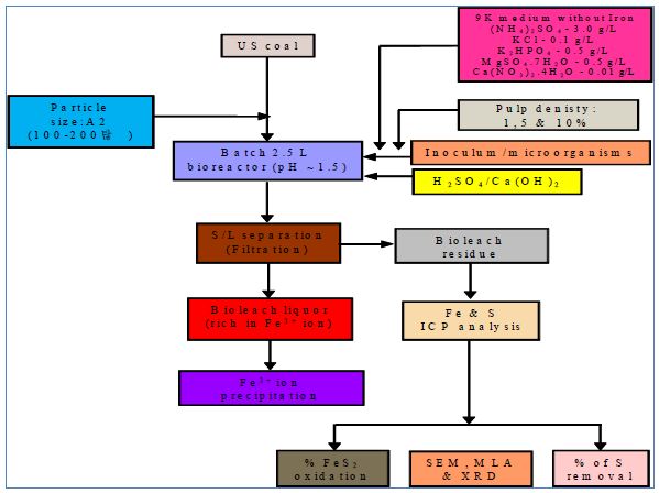 Fig. 3-6-3. Flow-sheet of biodesulphurisation of US coal