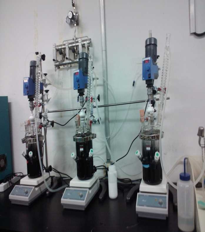 Fig. 3-6-4. Biodepyritization batch bioreactors setup using At. ferrooxidans