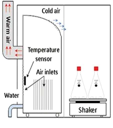 Fig. 3-6-8. Schematic presentation of the experimental setup