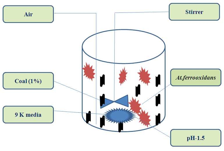 Fig. 3-6-13. Microbial depyritization in scale up studies using At. ferrooxidans